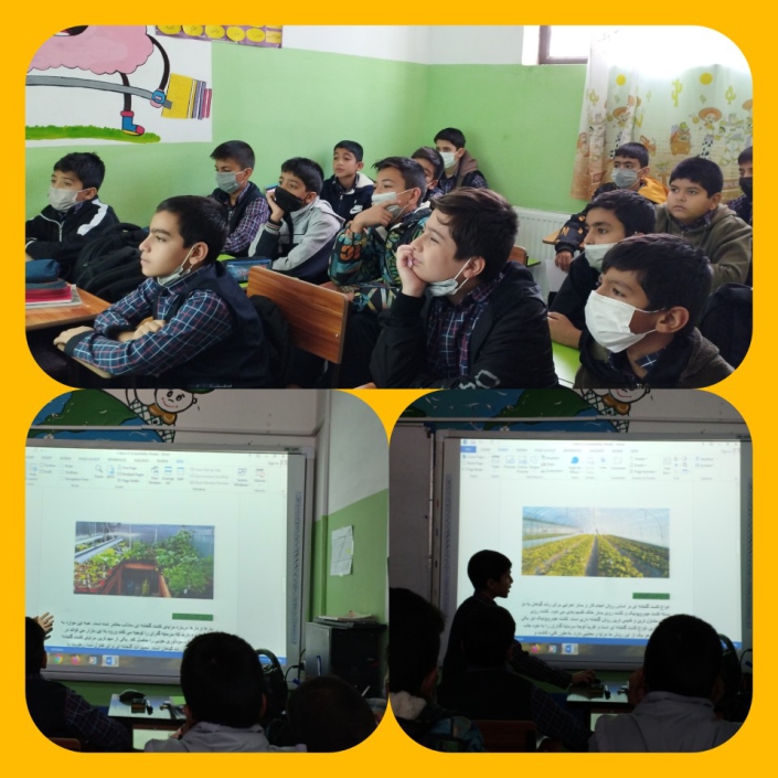 آشنایی با کشت گلخانه ای آشنایی با کشت گلخانه ای