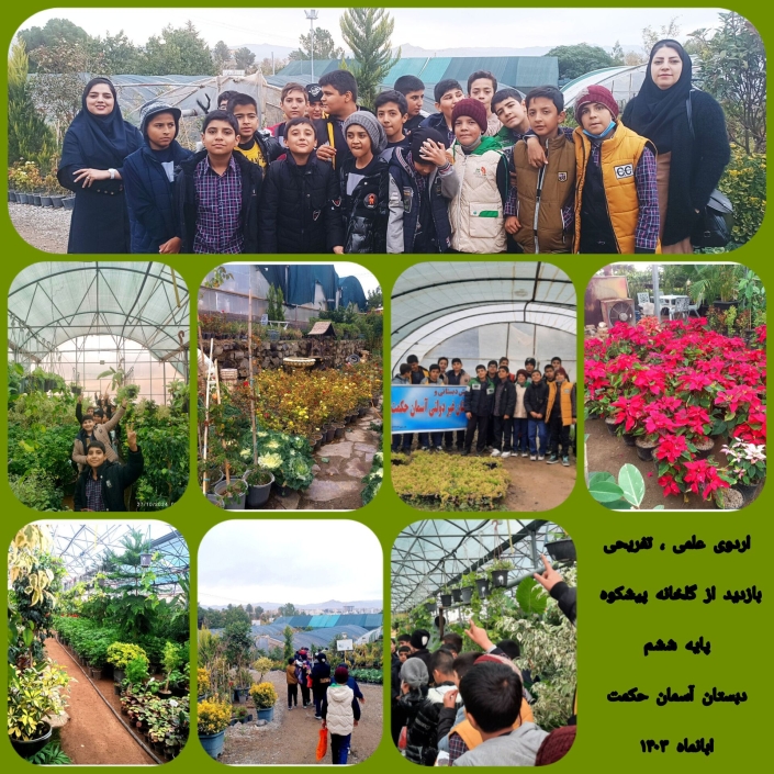 InShot_۲۰۲۴۱۰۲۸_۱۴۲۹۳۵۰۱۳