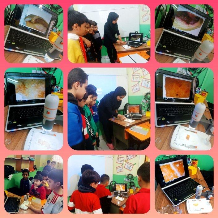 IMG_۲۰۲۴۱۱۱۵_۲۱۴۹۱۱_۸۰۸ ساحت تعلیم و تربیت علمی و فناورانه :orange_book::pencil2: ساعت جذاب علوم :clock1030: :sparkles: آشنایی با کاربرد عدسی در زندگی :sparkles: آشنایی با کارایی میکروسکوپ و بزرگنمایی اجسام و مواد ریز :sparkles: کاوشگری گل پسرهای عزیزم با استفاده از مواد خوراکی متفاوت و مشاهده ی سلول های مواد به صورت عینی پایه پنجم آموزگار: هرمـزی