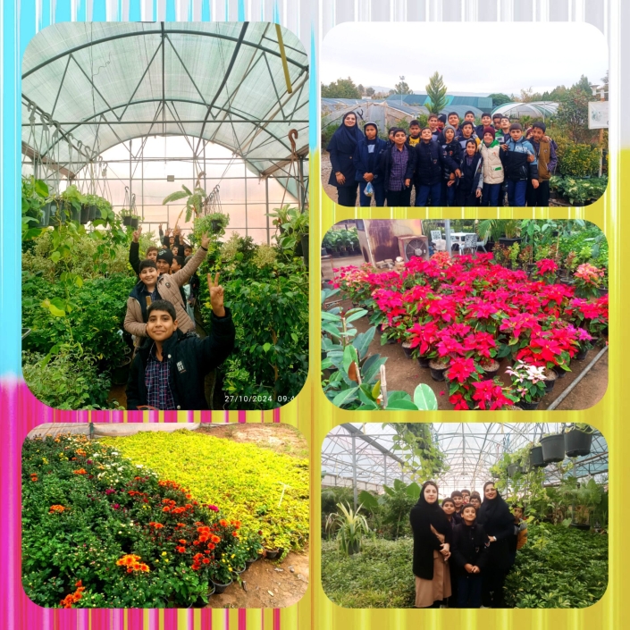 IMG_۲۰۲۴۱۱۱۵_۲۱۵۰۳۰_۸۶۰ ساحت تعلیم و تربیت علمی و فناورانه :green_book: زنگ مطالعات اجتماعی :sparkles: بازدید از فضای زیبای گلخانه :sparkles: آشنایی دانش آموزان عزیزم با کشت گلخانه ای :sparkles: مشاهده ی انواع گیاهان و میوه های گلخانه ای:pineapple:🥑 :sparkles: بررسی تفاوت گیاهان گلخانه ای با محصولات جالیزی :watermelon::tomato:🥒:eggplant: پایه ششم آموزگار: هـرمزی