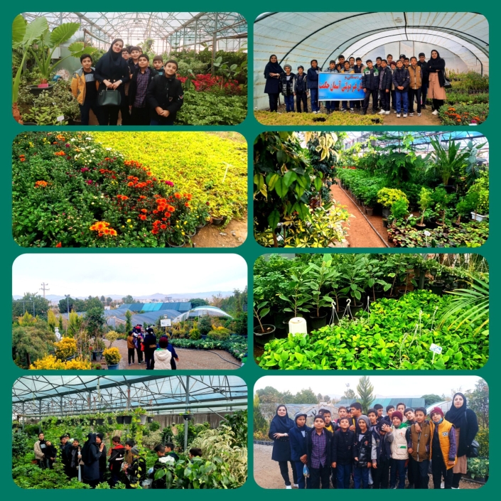 IMG_۲۰۲۴۱۱۱۵_۲۱۵۰۴۷_۰۱۰