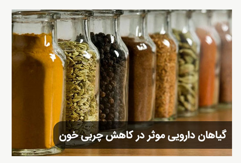 درمان چربی خون در طب سنتی ✔️ درمان کلسترول بالا در طب سنتی  ✔️چربی و کلسترول خون ✔️ علائم چربی خون در  طب سنتی  ✔️  بهترین نوشیدنی برای کاهش چربی خون