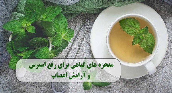 معجزه های گیاهی برای رفع استرس و آرامش اعصاب 