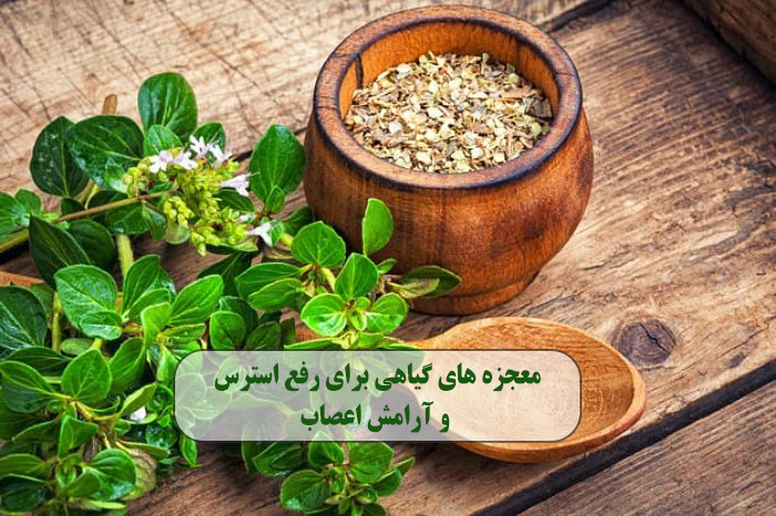 معجزه های گیاهی برای رفع استرس و آرامش اعصاب ✔️ درمان خانگی استرس و تپش قلب ✔️ درمان گیاهی دلشوره ✔️ دمنوش برای استرس و تپش قلب ✔️ درمان استرس در طب اسلامی