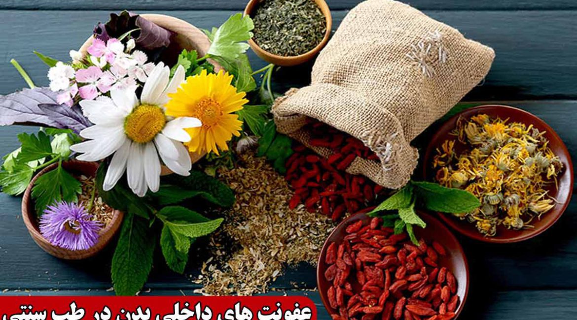 عفونت های داخلی بدن در طب سنتی