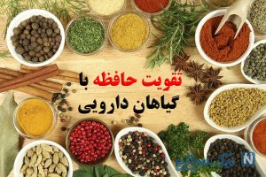 تقویت حافظه با گیاهان دارویی