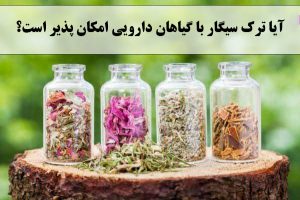 آیا ترک سیگار با گیاهان دارویی امکان پذیر است؟ ✔️ ترک سیگار با نمک ✔️ داروی ترک سیگار تضمینی ✔️ داروی آرام بخش برای ترک سیگار ✔️ زنیان برای برای ترک سیگار 