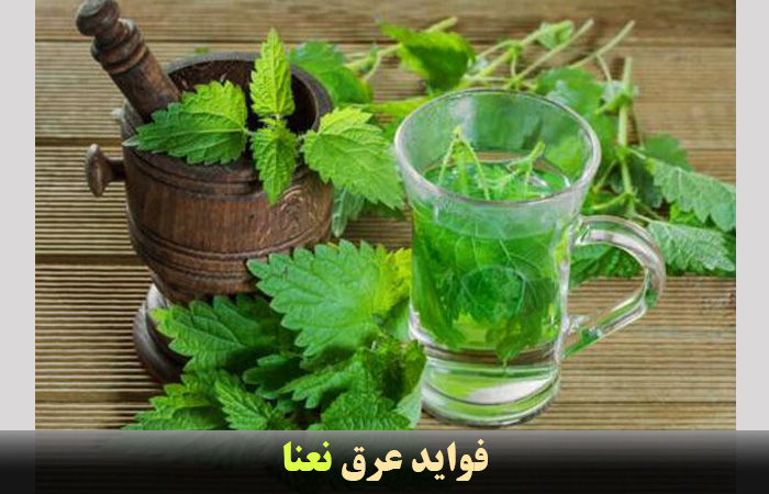 فواید نعنا ✔️ مصرف نعنا در آشپزی ✔️ عرق نعنا در طب سنتی ✔️ حساسیت نعناع ✔️ فواید عرق نعنا