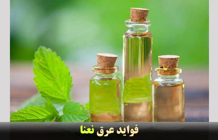 فواید نعنا ✔️ مصرف نعنا در آشپزی ✔️ عرق نعنا در طب سنتی ✔️ حساسیت نعناع ✔️ فواید عرق نعنا