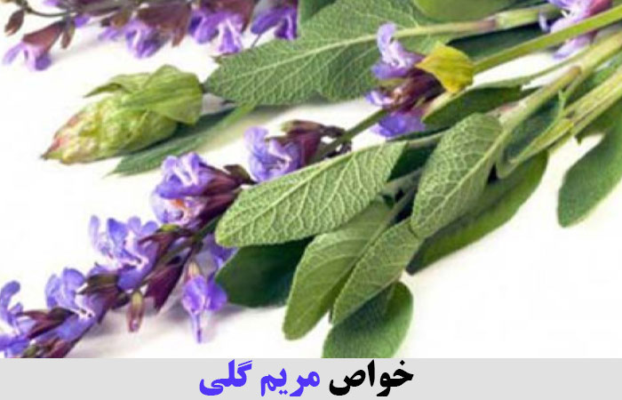 خواص مریم گلی