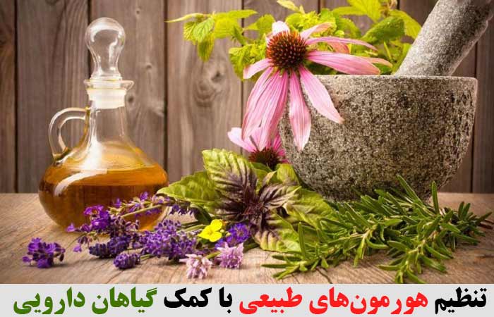 تنظیم هورمون‌های طبیعی با کمک گیاهان دارویی