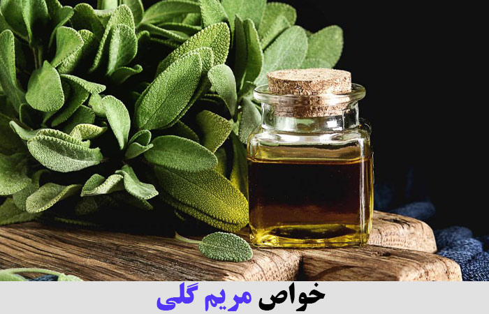 خواص مریم گلی ✔️ دمنوش مریم گلی ✔️ خواص مریم گلی برای رحم ✔️ خواص مریم گلی برای لاغری ✔️ طبع مریم گلی