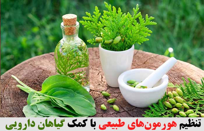 تنظیم هورمون‌های طبیعی با کمک گیاهان دارویی