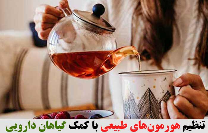 تنظیم هورمون‌های طبیعی با کمک گیاهان دارویی ✔️ تنظیم هورمون زنانه ✔️  تنظیم هورمون مردانه ✔️ بهترین داروی گیاهی برای تنظیم هورمون ✔️ راههای خانگی تنظیم کننده هورمون