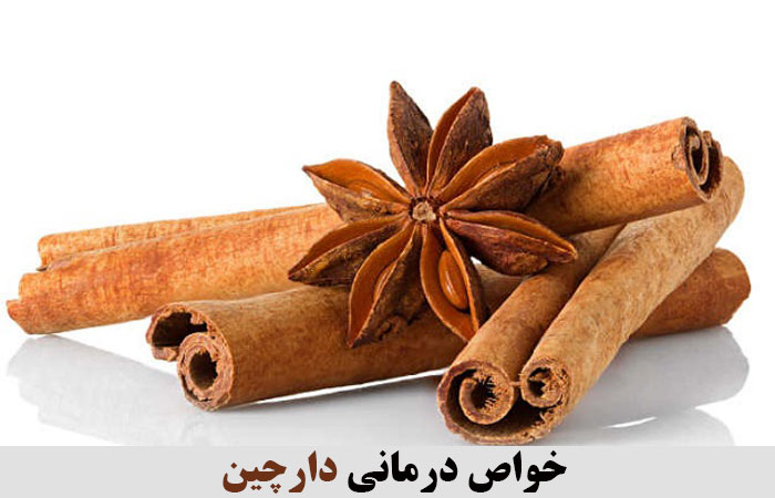 خواص درمانی دارچین ✔️ خواص دارچین برای مردان ✔️ خواص دارچین برای زنان ✔️ خواص دارچین در چای ✔️ خواص دارچین برای لاغری ✔️ مضرات دارچین ✔️ خواص دارچین برای عفونت