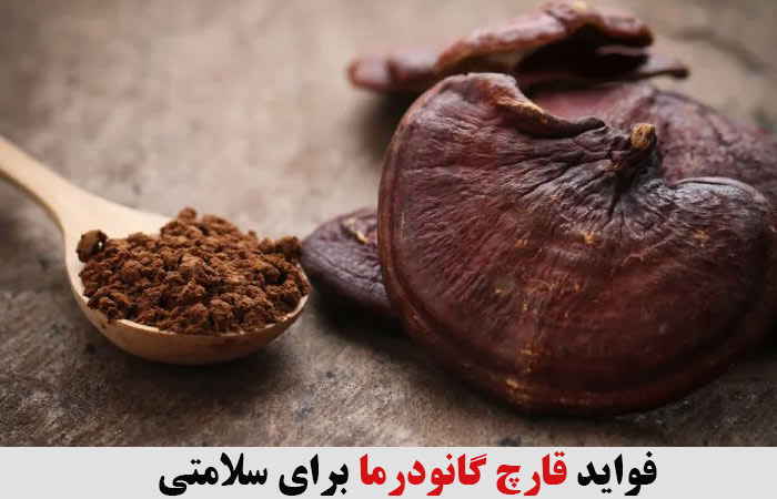 فواید قارچ گانودرما برای سلامتی 