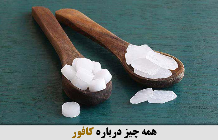 همه چیز درباره کافور 