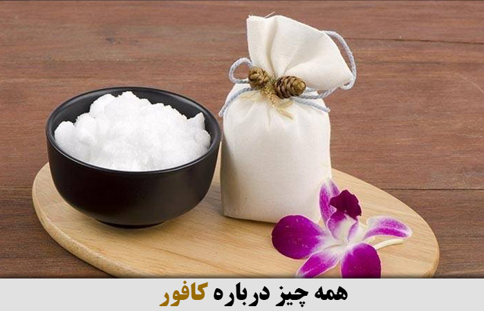 همه چیز درباره کافور