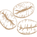 h۲-custom-icon-۶ h2-custom-icon-6