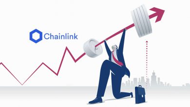 ChainLinkCover