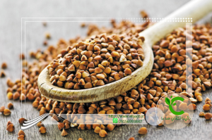 خرید گندم سیاه