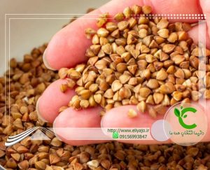 فروش گندم سیاه بسته بندی