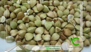 قیمت گندم سیاه بدون پوست