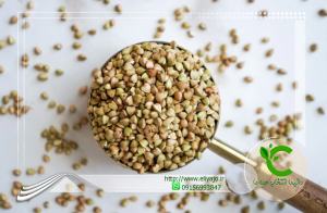 خرید گندم سیاه باکویت