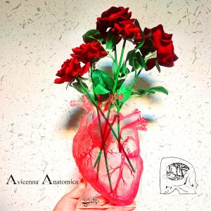 گلدان قلب آناتومی