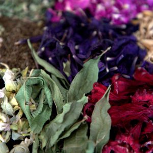 Iran Medicinal Herbs