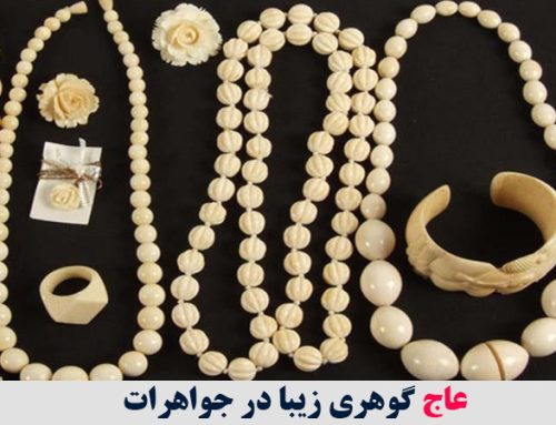 عاج گوهری زیبا در جواهرات