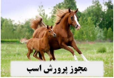 اصول پرورش اسب ✔️ مجوز پرورش اسب ✔️ طرح توجیهی پرورش اسب✔️ کارآفرینی پرورش اسب ✔️ مشکلات پرورش اسب