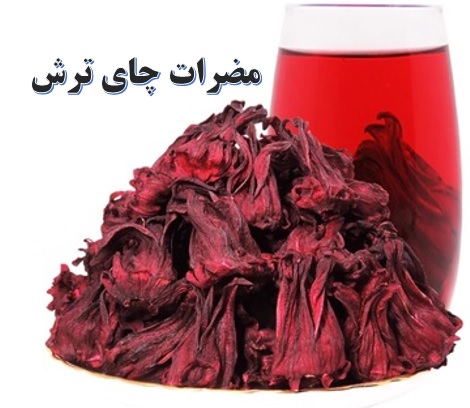 کشت چای ترش ✔️ مضرات چای ترش ✔️ قیمت چای ترش ✔️ طرح توجیهی کشت چای ترش ✔️ نحوه کاشت چای ترش در ایران