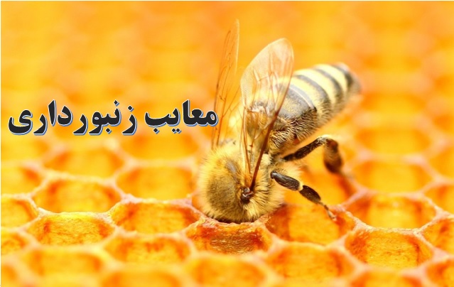 پرورش زنبور عسل ✔️ معایب زنبورداری ✔️ مراحل راه اندازی زنبورداری ✔️ مراحل راه اندازی زنبورداری ✔️ نحوه تولید ژله رویال ✔️ زنبورعسل و پرورش آن ✔️ طرح پرورش ملکه ✔️ مشکلات پرورش زنبور عسل ✔️ زنبورعسل و پرورش آن ✔️ شرایط محیطی پرورش زنبورعسل 