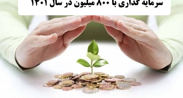 بهترین کار با 800 میلیون در سال 1400    ✔️ بهترین راه برای سرمایه گذاری با 800 میلیون در سال 1400  ✔️ سرمایه گذاری با 800 میلیون در سال 1400   ✔️ راه اندازی کار تولیدی با 800 میلیون در سال 1400