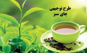طرح توجیهی چای سبز، خط تولید چای سبز، مراحل تهیه چای سبز، انواع چای سبز، شکل چای سبز، مراحل تولید چای دستی، مشکلات خط تولید چای سبز