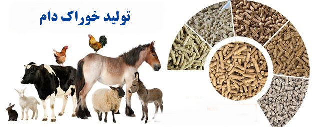 تولید خوراک دام 