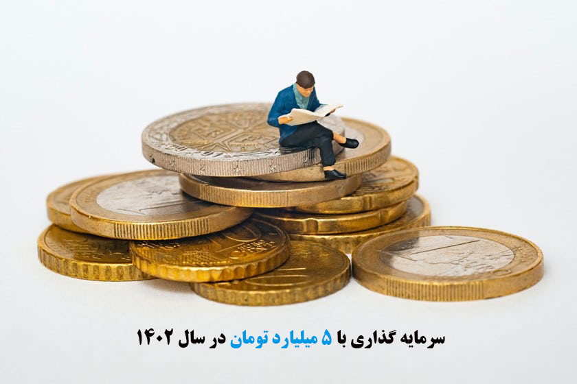 سرمایه گذاری با 5 میلیارد تومان در سال 1402