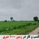 کسب و کار در زمین 1000 متری