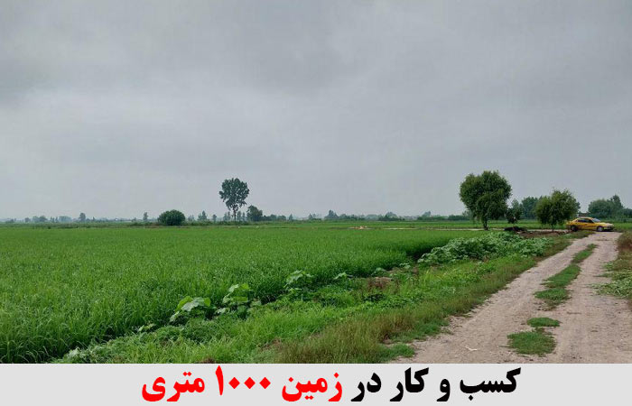 کسب و کار در زمین 1000 متری