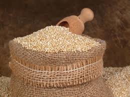 خرید و فروش بذر کینوا شیراز