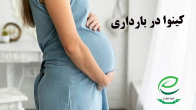 کینوا برای بارداری