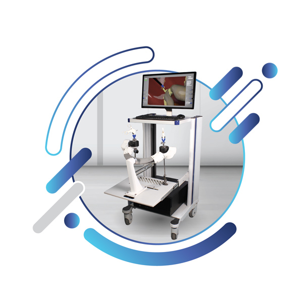 Sina Sim Laparoscopic Surgery Simulator (Conventional model)