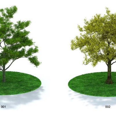 دانلود رایگان آبجکت و آرک مدل درختان Evermotion