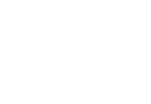 vivepartners.net